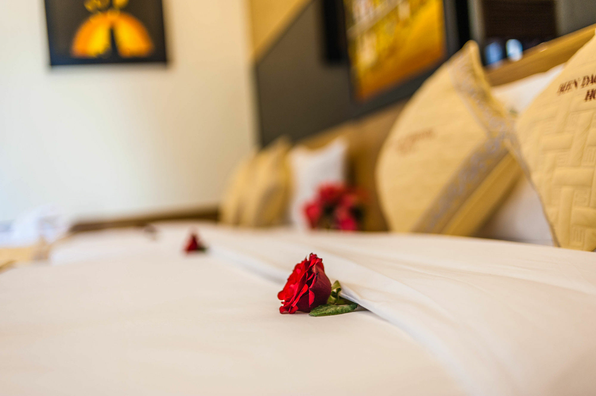 Bien Dao Homestay Hoi An Zewnętrze zdjęcie
